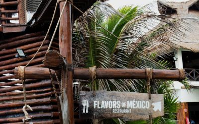 ¿Revolución del Pepinillo en el Trópico? El Pickleball Conquista Latinoamérica y Sus Próximas Citas Clave